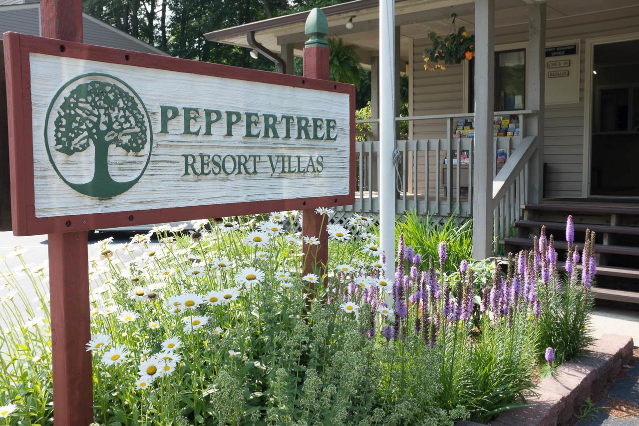 Peppertree Maggie Valley 아파트 호텔 외부 사진